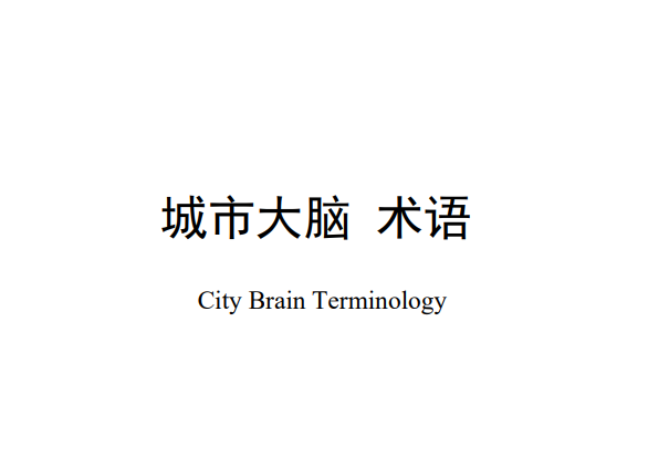 城市大脑首批三项标准：城市大脑 术语