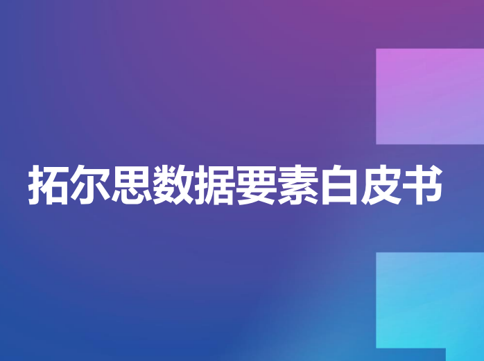 拓尔思数据要素白皮书