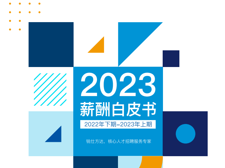 2023年薪酬白皮书