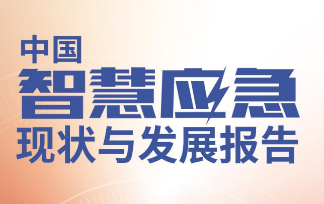 中国智慧应急现状与发展报告