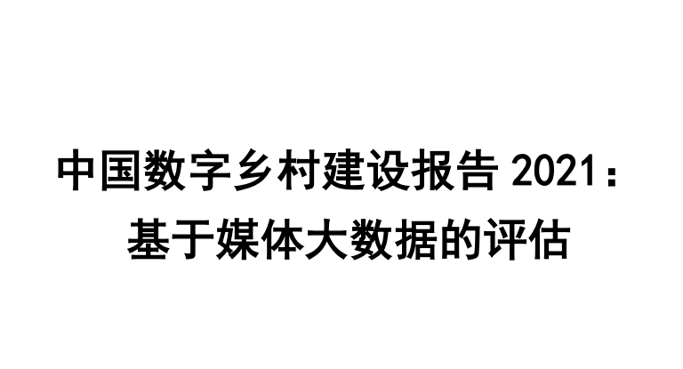 中国数字乡村建设报告