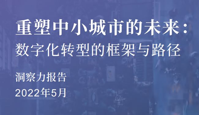 中小城市的数字化转型的框架与路径