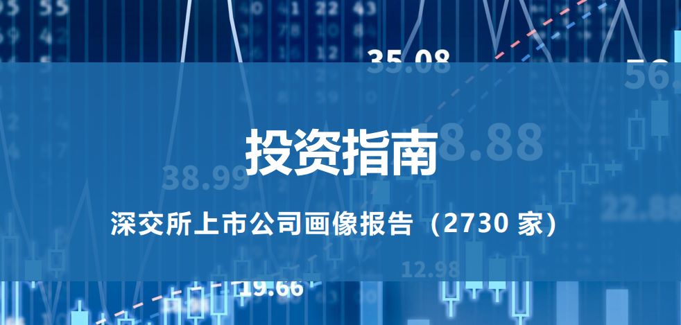 深交所上市公司画像报告（2730 家）