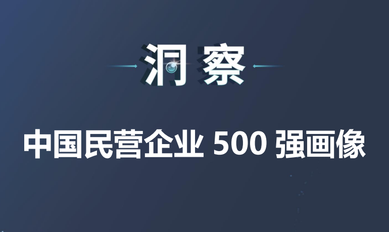 2023中国民营企业500强画像
