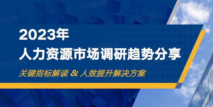 2023年人力资源市场调研趋势