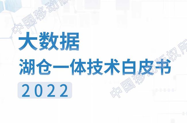 大数据湖仓一体技术白皮书