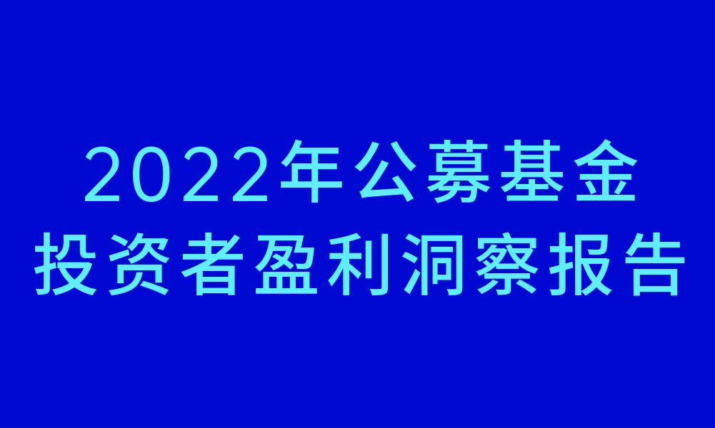 2022年公募基金投资者盈利洞察报告