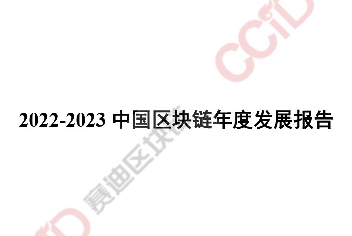 2022-2023中国区块链发展年度报告