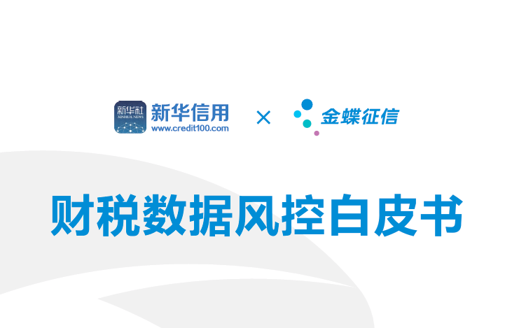 2023财税数据风控白皮书