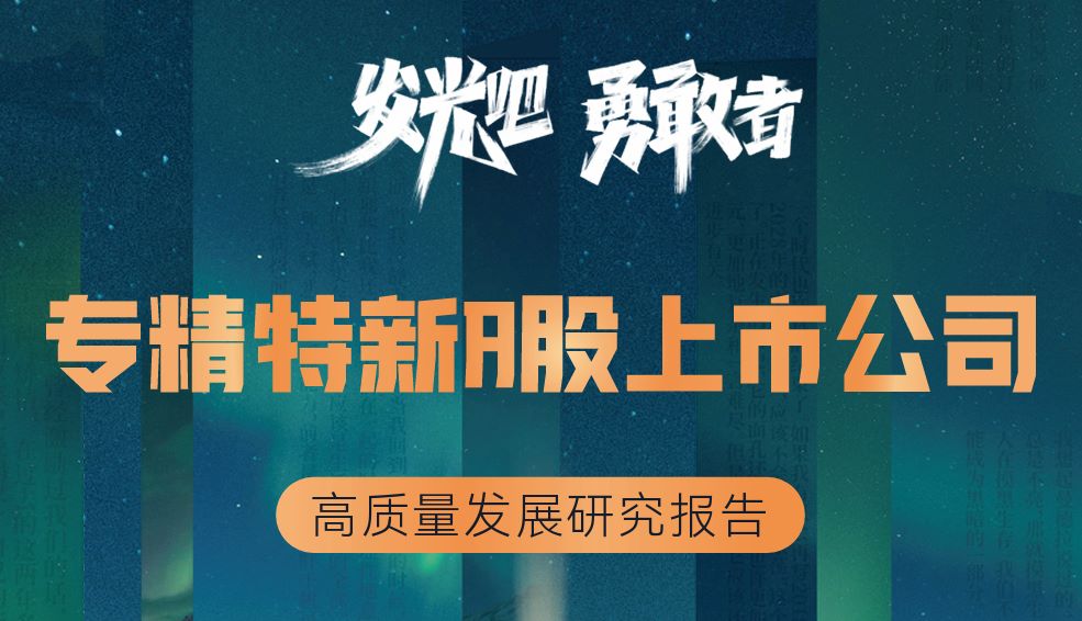 专精特新A股上市公司高质量发展研究报告（224页）