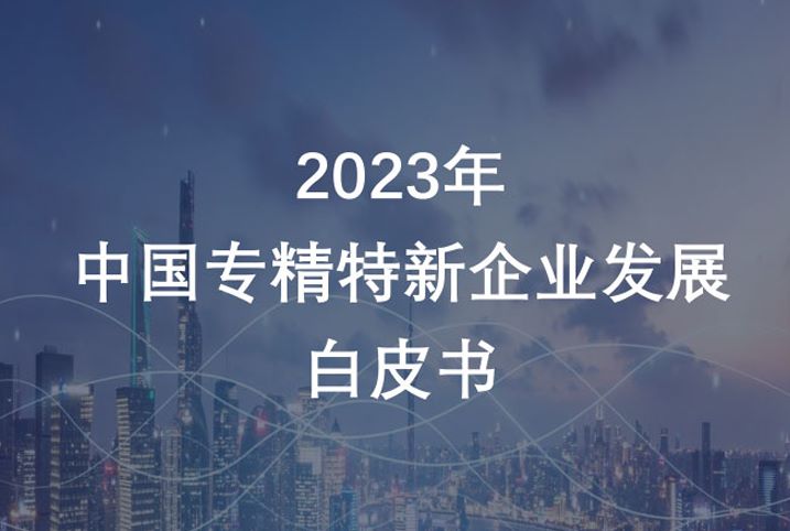 2023年中国专精特新企业发展白皮书（453页）