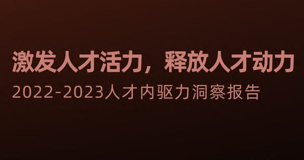 2022-2023人才内驱力洞察报告
