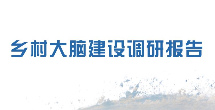 乡村大脑建设调研报告