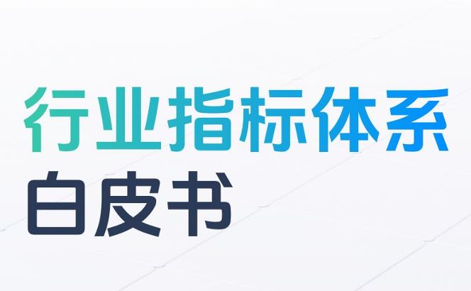 2024行业指标体系白皮书