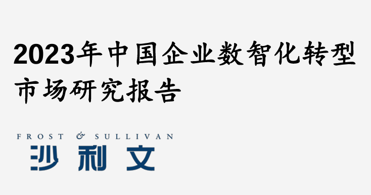 2023年中国企业数智化转型市场研究报告