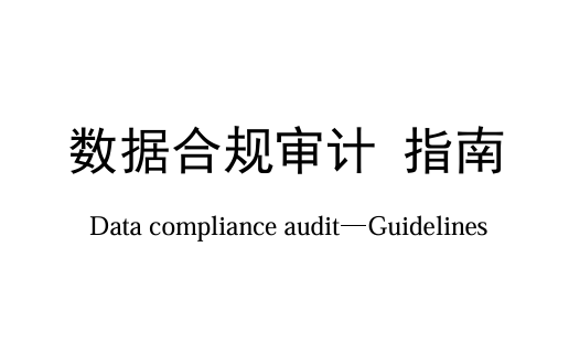 数据合规审计 指南
