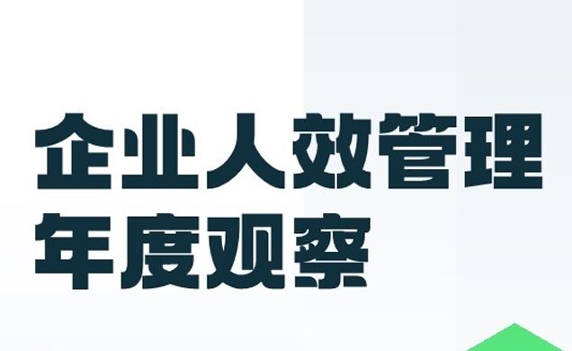 2024企业人效管理年度观察报告
