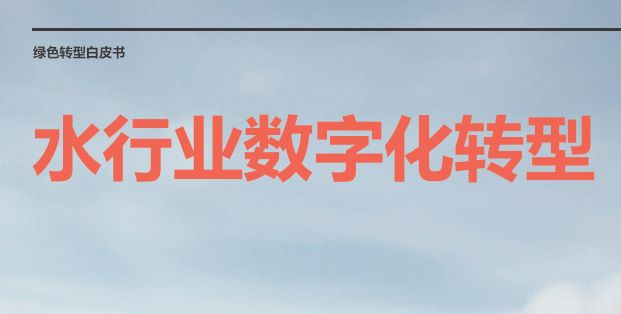 2024水行业数字化转型白皮书