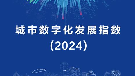 城市数字化发展指数（2024）