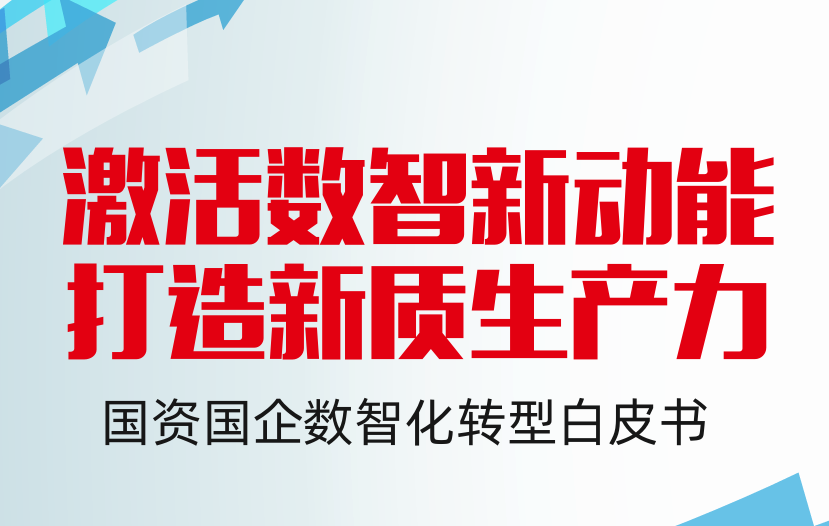 2024国资国企数智化转型白皮书