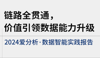 2024数据智能实践报告