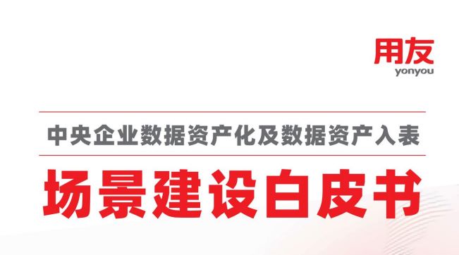 2024中央企业数据资产化及数据资产入表场景建设白皮书