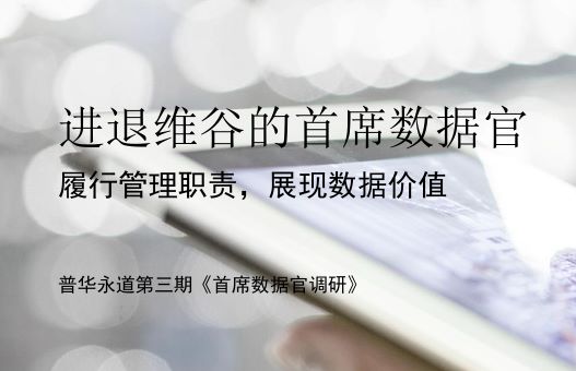 2024全球首席数据官调研报告