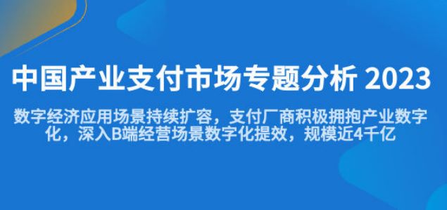 中国产业支付市场专题分析报告