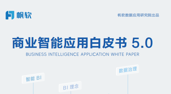 2024年商业智能应用白皮书5.0