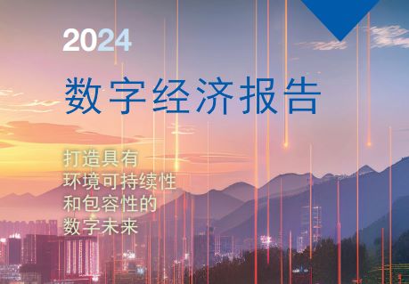 联合国：2024数字经济报告