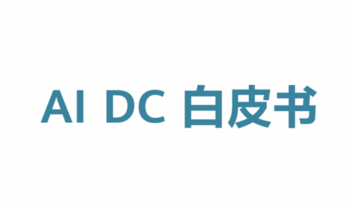 AI DC白皮书（2024年）