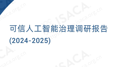 可信人工智能治理调研报告（2024-2025）