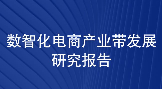 数智化电商产业带发展研究报告