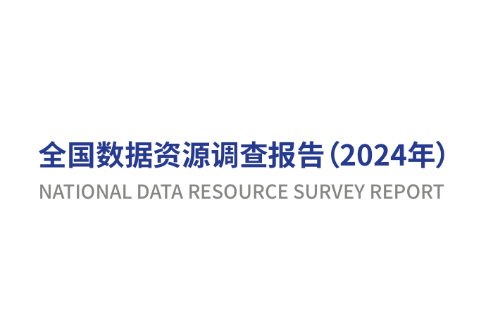 全国数据资源调查报告（2024年）