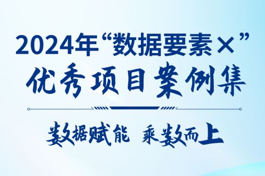 2024年“数据要素×”优秀项目案例集