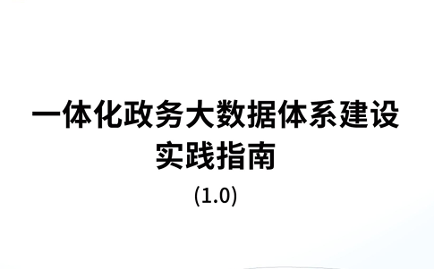 一体化政务大数据体系建设实践指南1.0