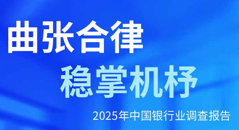 2025年中国银行业调查报告