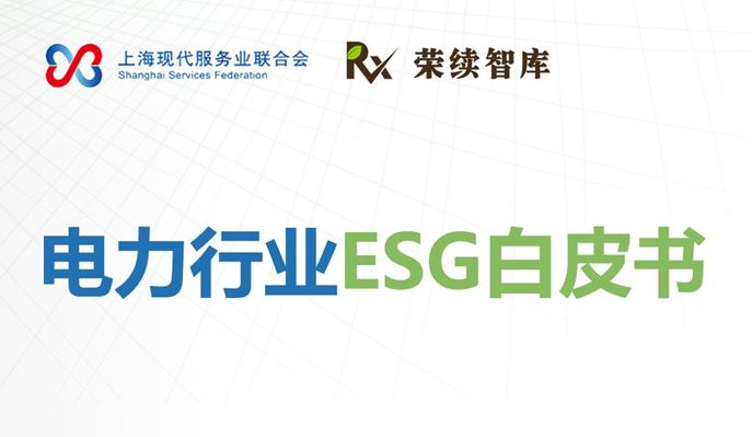2025年电力行业ESG白皮书