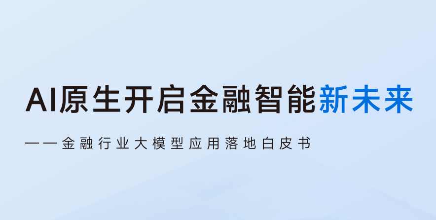 2025年金融行业大模型应用落地白皮书