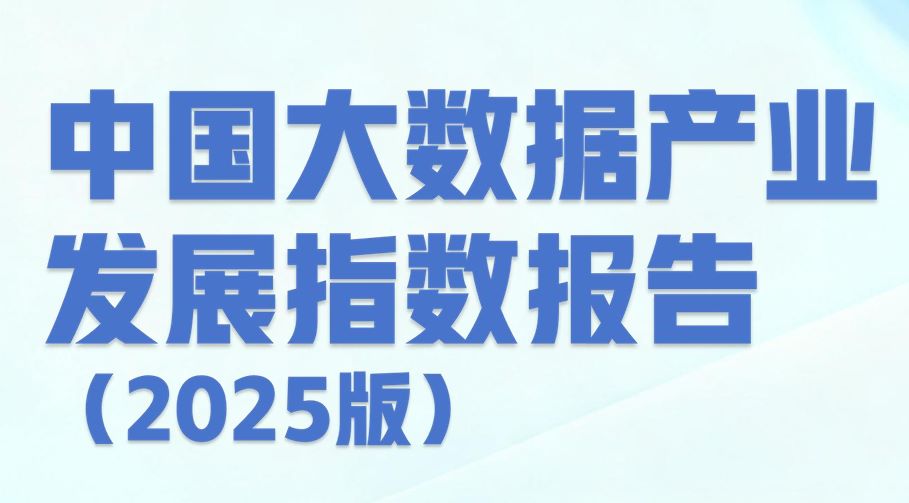 中国大数据产业发展指数报告（2025版）