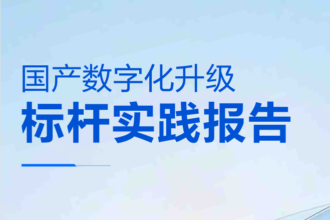 2025年国产数字化升级标杆实践报告