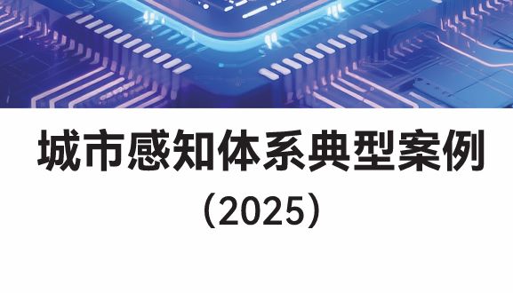 城市感知体系典型案例（2025）