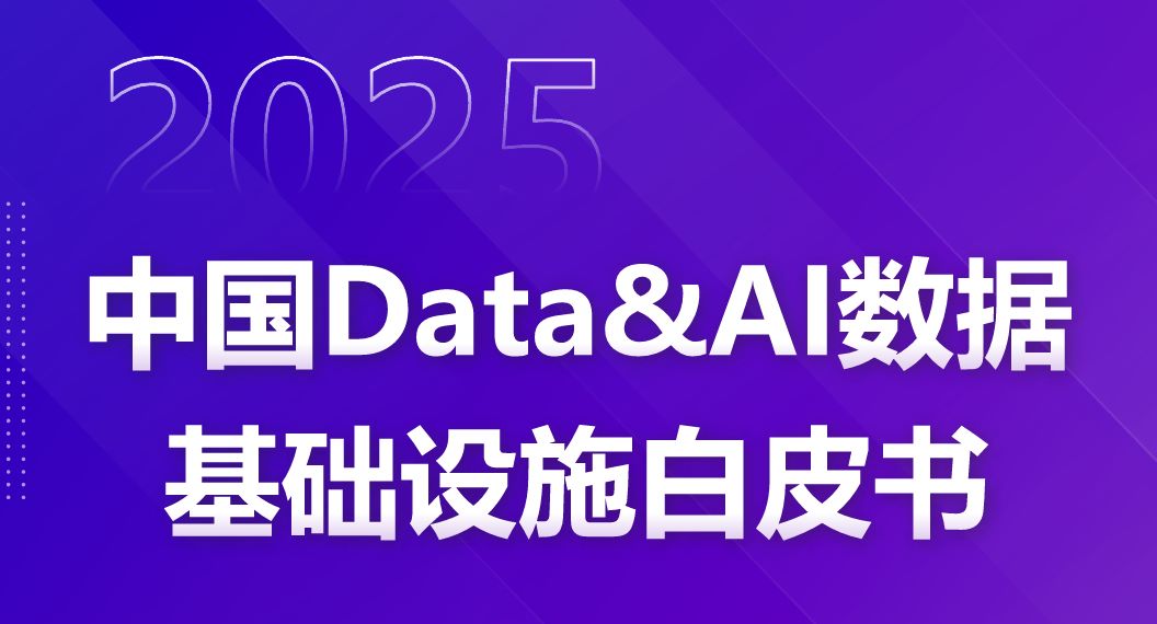 2025中国Data&AI数据基础设施白皮书