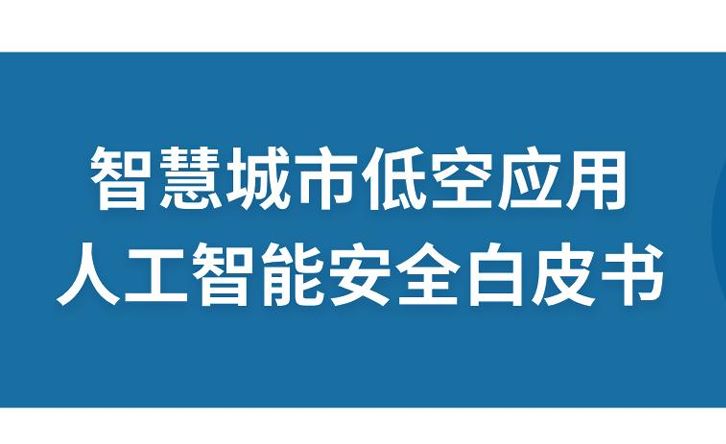 智慧城市低空应用人工智能安全白皮书
