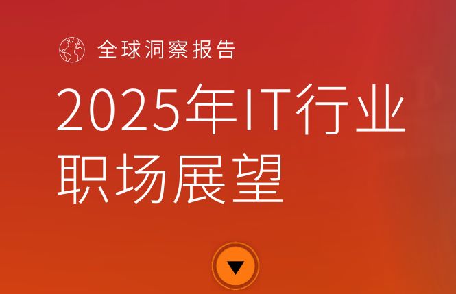 2025年IT行业职场展望