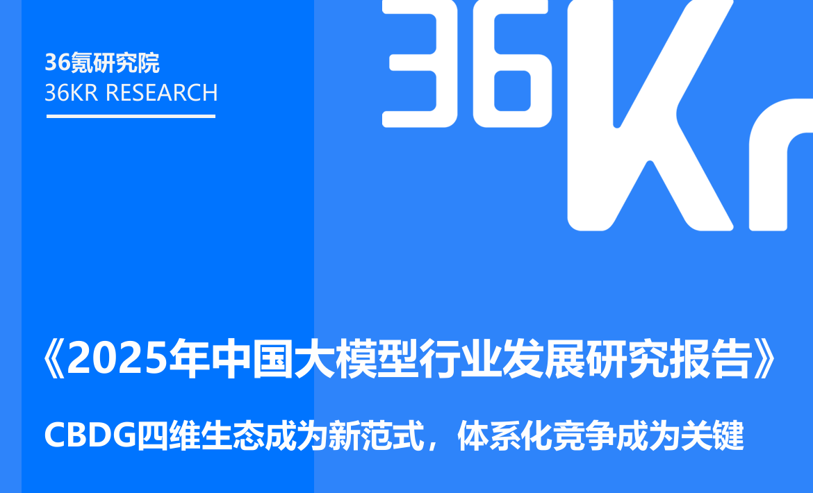 2025年中国大模型行业发展研究报告