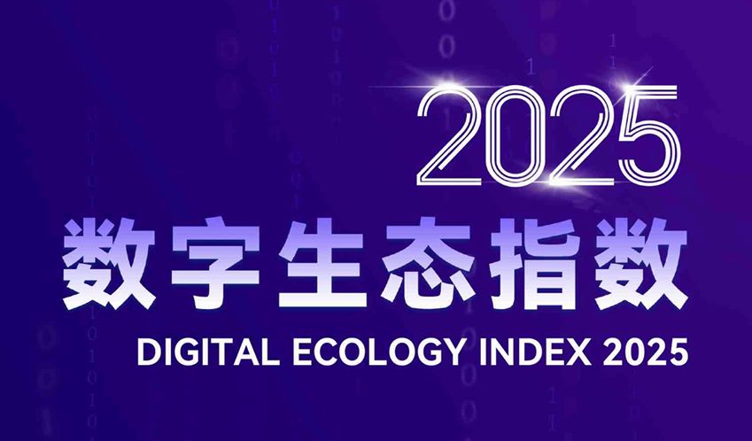 2025年数字生态指数报告