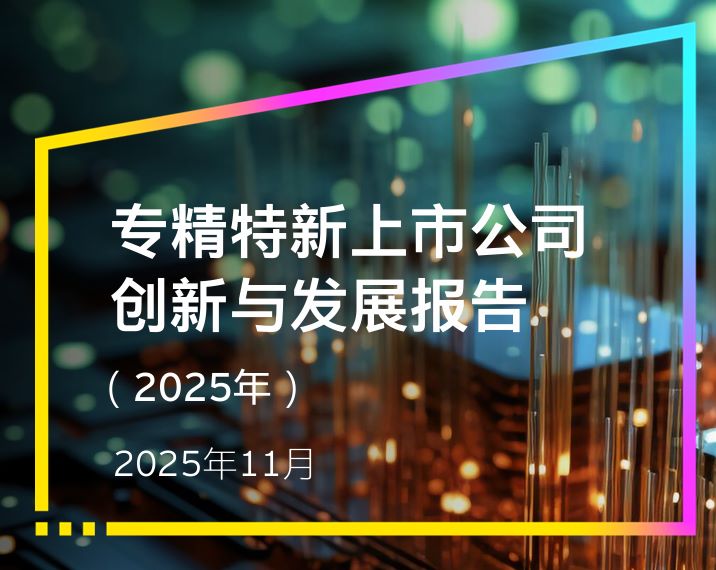 2025年专精特新上市公司创新与发展报告