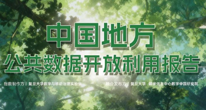2025中国地方公共数据开放利用报告