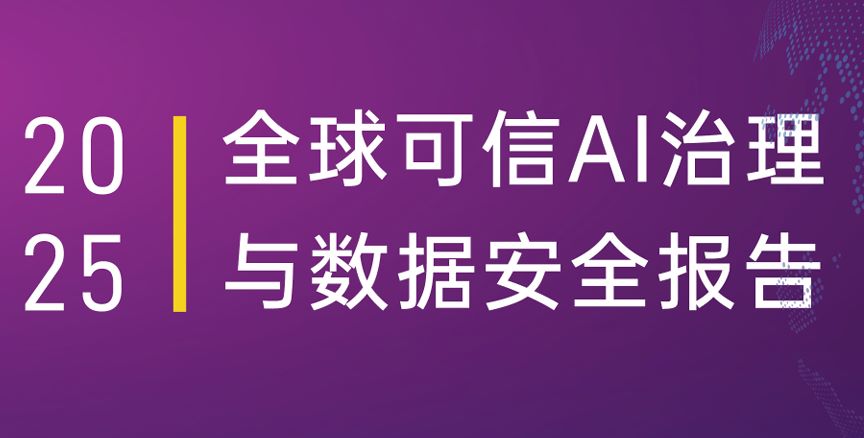 2025全球可信AI治理与数据安全报告